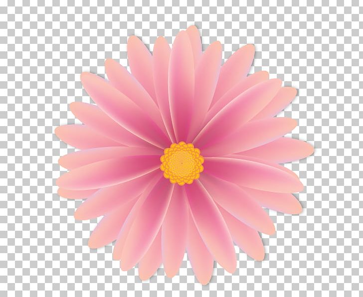 Stock Photography PNG, Clipart, Can Stock Photo, Chrysanths, Closeup, Daisy, Daisy Family Free PNG Download