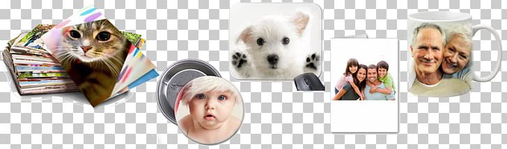 West Highland White Terrier Puppy Product Design Shoe PNG, Clipart, Body Jewellery, Body Jewelry, Brand, Communication, Creative Gifts Free PNG Download