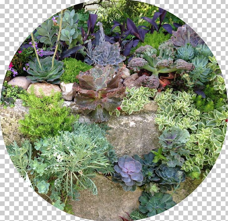 Garden Landscape Herb Vegetation Groundcover PNG, Clipart, Botanical Garden, Flowerpot, Garden, Grass, Groundcover Free PNG Download