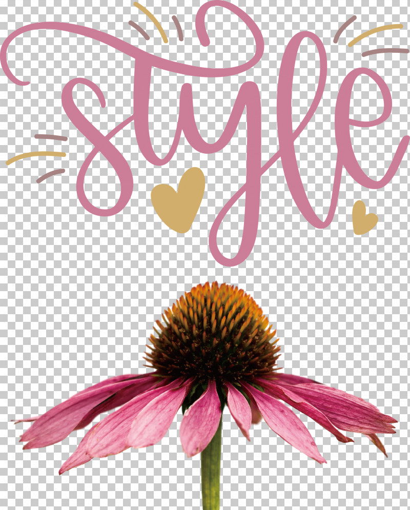 Style Fashion Stylish PNG, Clipart, Autoimmune Disease, Autoimmunity, Coneflower, Cut Flowers, Fashion Free PNG Download