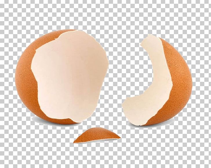 Eggshell Stock Photography 123rf PNG, Clipart, 123rf, Advertising, Egg, Eggshell, Fish Free PNG Download
