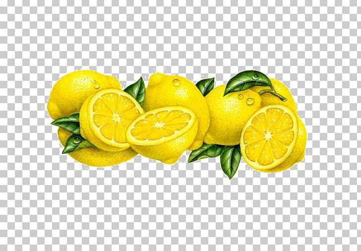 Lemon Fruit Illustrator Illustration PNG, Clipart, Cartoon, Cartoon Lemon, Citric Acid, Citrus, Deductible Free PNG Download