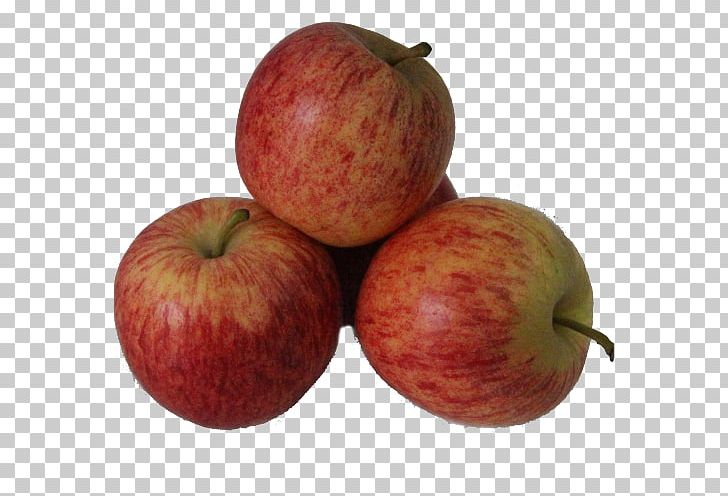 McIntosh Red Apple Gala Accessory Fruit PNG, Clipart, Accessory Fruit, Apple, Caliber, Calibre, Food Free PNG Download