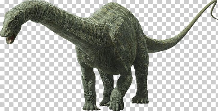 Apatosaurus Universal S Brachiosaurus Dinosaur Jurassic Park PNG, Clipart, Apatosaurus, Brachiosaurus, Dinosaur, Extinction, Fauna Free PNG Download
