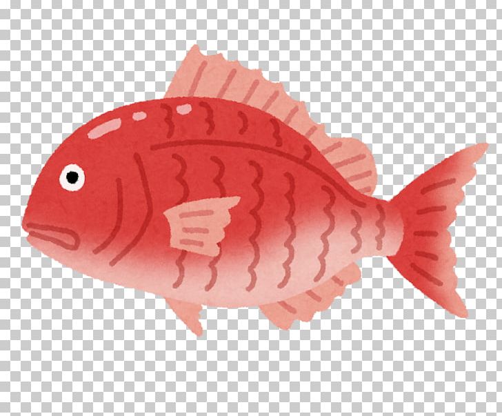 Aquaculture Angling Pagrus Major Sea Bream Acanthopagrus Schlegelii PNG, Clipart, Angling, Aquaculture, Fauna, Fish, Fishery Free PNG Download