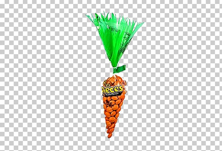 Flowerpot Fruit PNG, Clipart, Commodity, Flowerpot, Food, Fruit, Others Free PNG Download