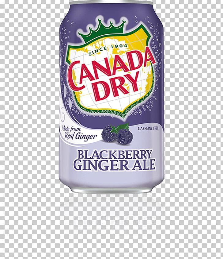 Ginger Ale Fizzy Drinks Lemonade Carbonated Water Ginger Beer PNG, Clipart, Ale, Beverage Can, Blackberry, Brand, Canada Dry Free PNG Download