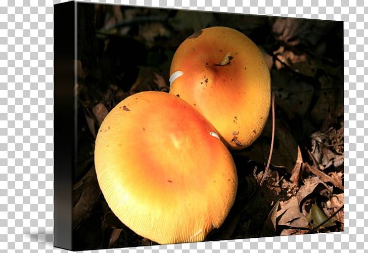 Still Life Photography Apple PNG, Clipart, Apple, Fruit, Fruit Nut, Local Food, Mushroom Free PNG Download