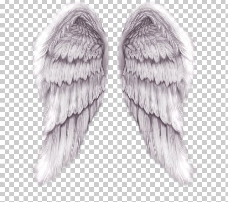 Wing Angel Color PNG, Clipart, 8825, 8825 Desktop Wallpapers, Art, Christmas Decoration, Decoration Free PNG Download