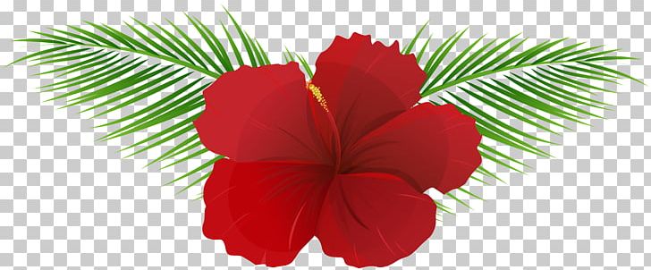Art Flower PNG, Clipart, Art, Art Museum, Awning, Bag, Birthday Free PNG Download