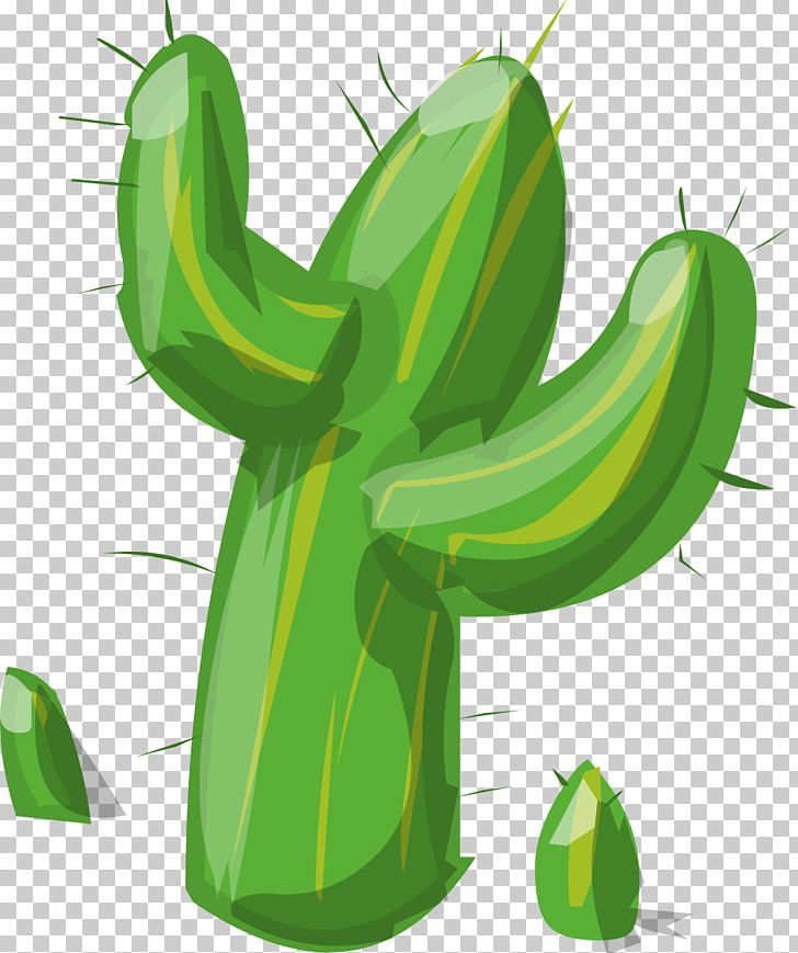 Cactaceae PNG, Clipart, Cactaceae, Cactus, Desktop Wallpaper, Download, Flower Free PNG Download