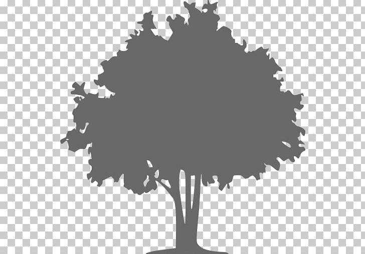 Computer Icons The Tree Doctor Graphics Oak PNG, Clipart, Arborist, Black And White, Branch, Color, Computer Icons Free PNG Download