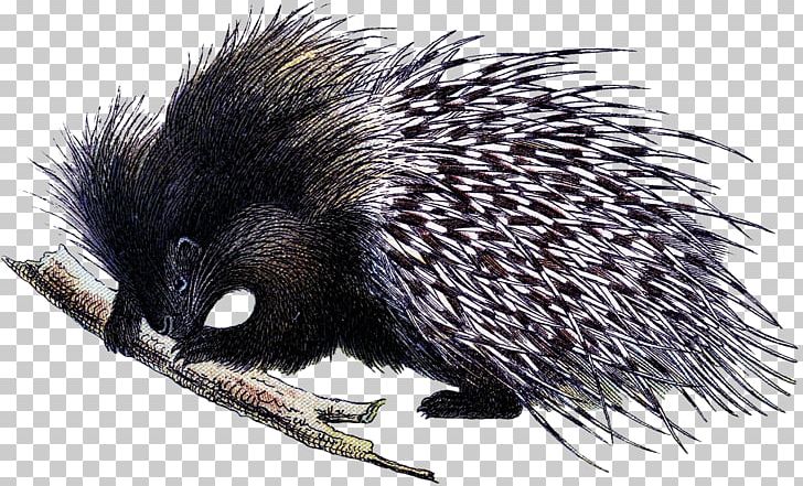 Domesticated Hedgehog Echidna Porcupine Fauna PNG, Clipart, Creatures, Domesticated Hedgehog, Domestication, Echidna, Erinaceidae Free PNG Download