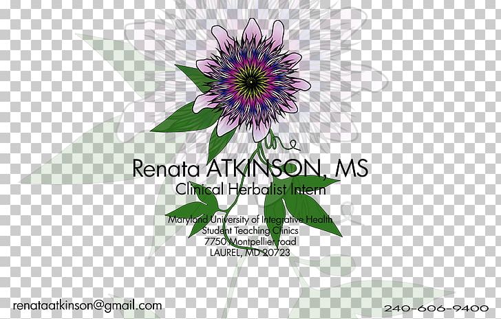 Floral Design Cut Flowers Petal PNG, Clipart, Cut Flowers, Flora, Floral Design, Floristry, Flower Free PNG Download