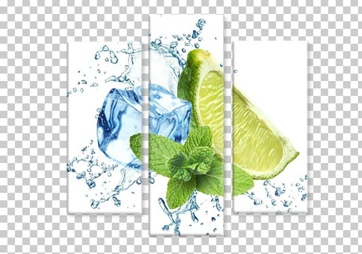 Lemon Ice Cube Mint Water Concentrate PNG, Clipart, Bottle, Bottled Water, Concentrate, Cube, Drink Free PNG Download