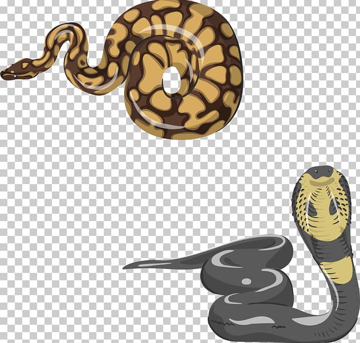 Reptile Snake Lizard Chameleons Vipers PNG, Clipart, Animal, Animals, Download, Encapsulated Postscript, Euclidean Vector Free PNG Download