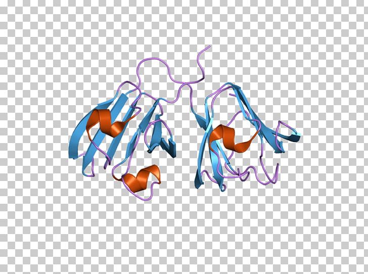 Affilin Crystallin Ubiquitin Beta Sheet Antibody Mimetic PNG, Clipart, Affilin, Antibody, Antibody Mimetic, Antigen, Art Free PNG Download