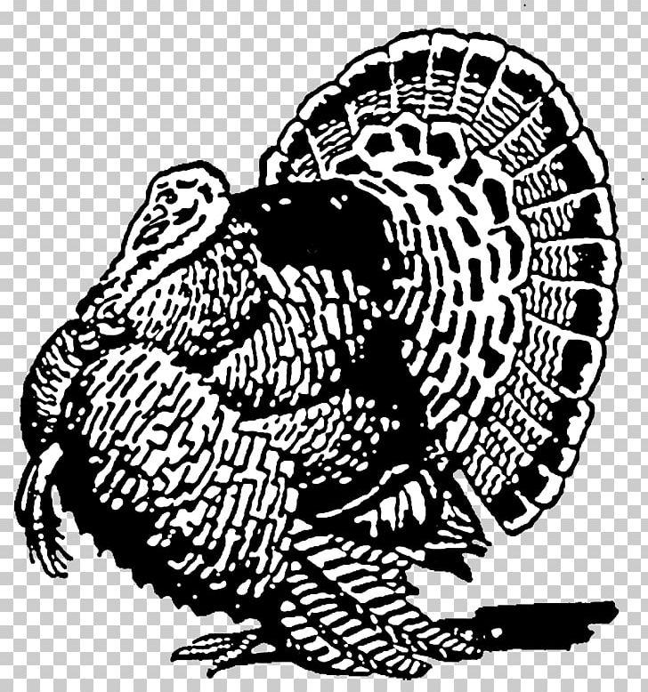 Black And White PNG, Clipart, Art, Big Cats, Carnivoran, Domesticated Turkey, Drawin Free PNG Download