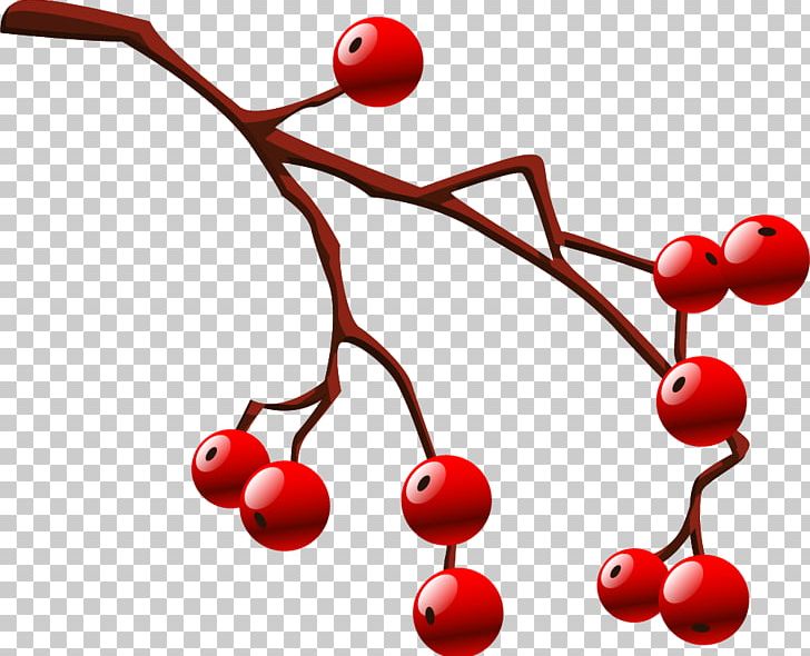 Cherry Red Drawing PNG, Clipart, Balloon Cartoon, Boy Cartoon, Branch, Cartoon, Cartoon Character Free PNG Download
