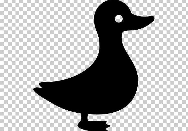 Duck Computer Icons PNG, Clipart, Animals, Artwork, Beak, Bird, Black And White Free PNG Download