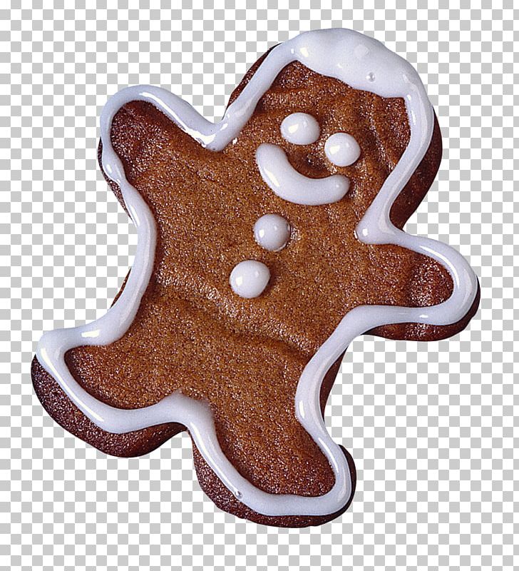 Icing Cookie Gingerbread Man PNG, Clipart, Baby Doll, Barbie Doll, Biscuit, Biscuit Packaging, Biscuits Free PNG Download