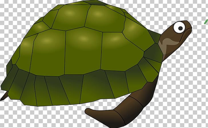 Green Sea Turtle Reptile PNG, Clipart, Animal, Animals, Common Snapping Turtle, Fauna, Green Sea Turtle Free PNG Download