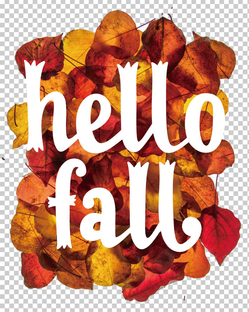 Hello Fall Fall Autumn PNG, Clipart, Autumn, Fall, Hello Fall, Meter Free PNG Download