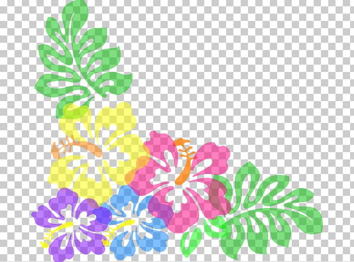 Hibiscus Schizopetalus Free Content Hawaiian Hibiscus PNG, Clipart, Alyogyne Huegelii, Branch, Flora, Floral Design, Floristry Free PNG Download