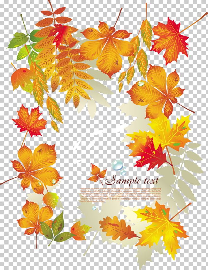 Leaf Euclidean Computer File PNG, Clipart, Autumn, Autumn Leaf Color, Branch, Computer Graphics, Computer Icons Free PNG Download