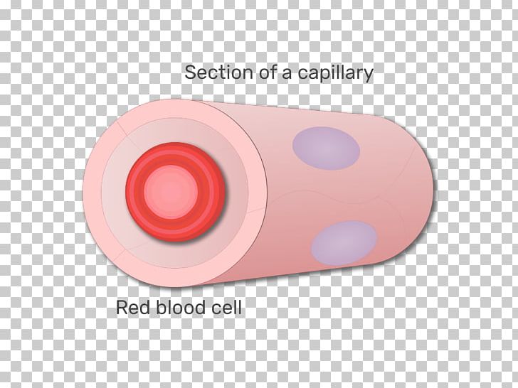 Red Blood Cell PNG, Clipart, Animated Film, Blood, Blood Cell, Capillary, Cell Free PNG Download
