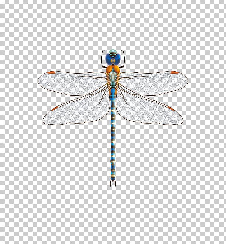 Dragonfly Insect PNG, Clipart, Adobe Illustrator, Arthropod, Blu, Blue Abstract, Blue Abstracts Free PNG Download