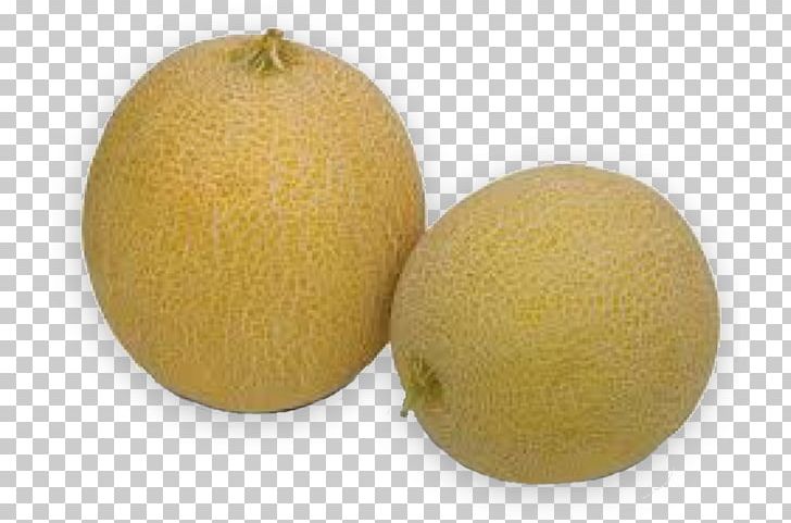 Honeydew Cantaloupe Galia Melon Watermelon PNG, Clipart, Cantaloupe, Citron, Citrus, Citrus Fruit, Cucumber Free PNG Download