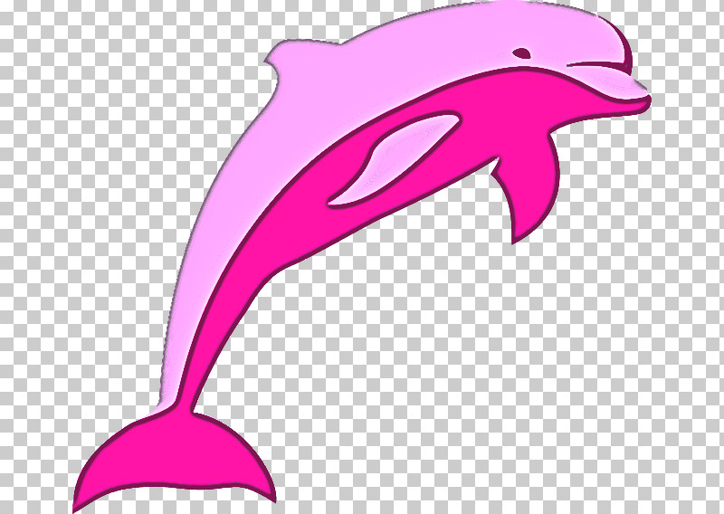Dolphin Bottlenose Dolphin Pink Short-beaked Common Dolphin Fin PNG, Clipart, Bottlenose Dolphin, Cetacea, Common Dolphins, Dolphin, Fin Free PNG Download
