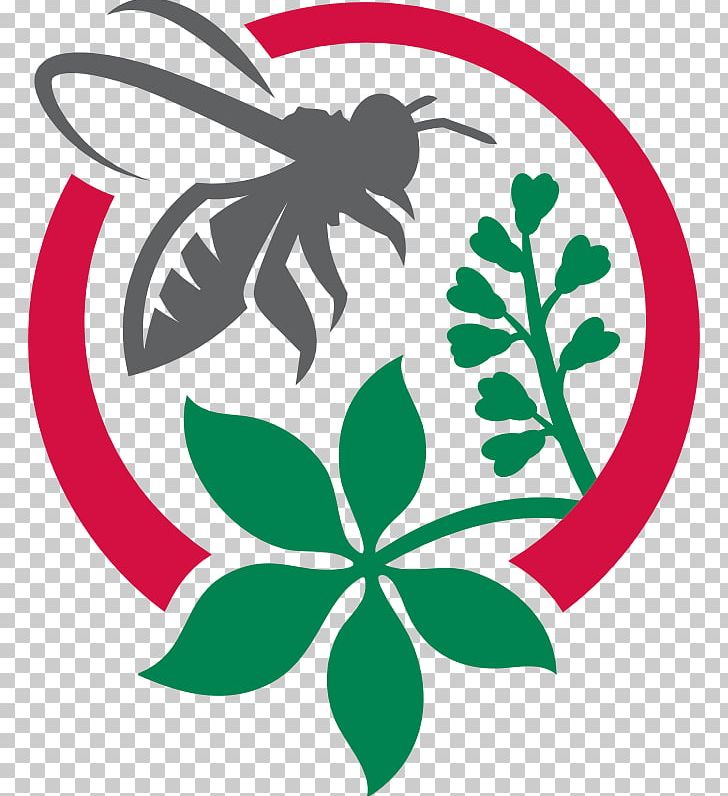 Beekeeper Beekeeping Apiary Honey Bee PNG, Clipart, Agriculture, Apiary, Artwork, Bee, Bee Free PNG Download