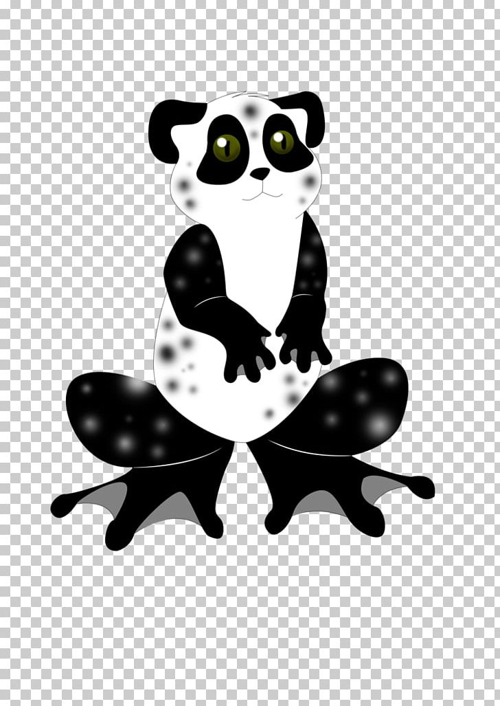 Cat Goliath Frog Giant Panda Mission Golden-eyed Tree Frog PNG, Clipart, Animal, Animals, Art, Black, Black And White Free PNG Download