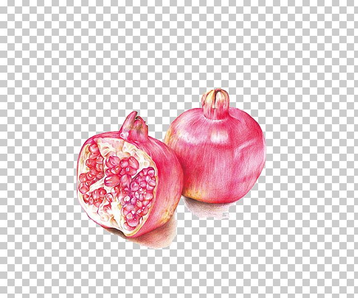 Drawing Colored Pencil Watercolor Painting PNG, Clipart, Auglis, Book, Color, Food, Fruit Free PNG Download