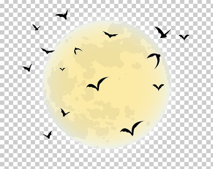 Halloween Desktop PNG, Clipart, Black Cat, Black Moon, Circle, Clipart, Clip Art Free PNG Download