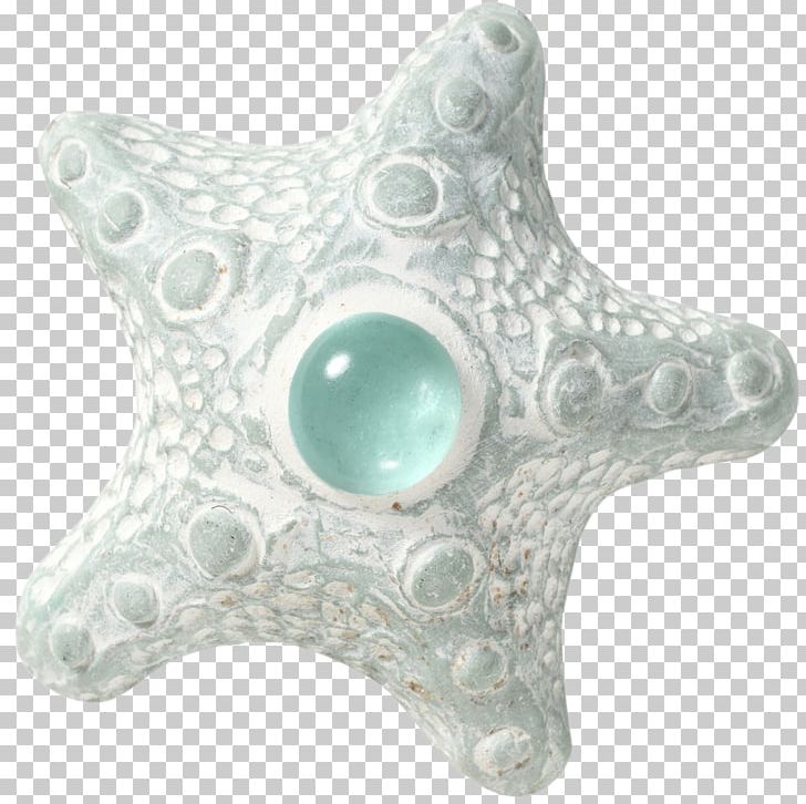Turquoise Jewellery Starfish PNG, Clipart, Isabel, Jewellery, Jewelry Making, Loren, Miscellaneous Free PNG Download