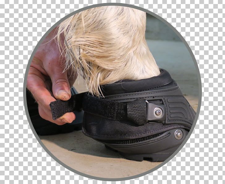 Hoof Boot Horseshoe Equestrian PNG, Clipart, Animals, Backcountry, Boots Uk, Child 44, Equestrian Free PNG Download