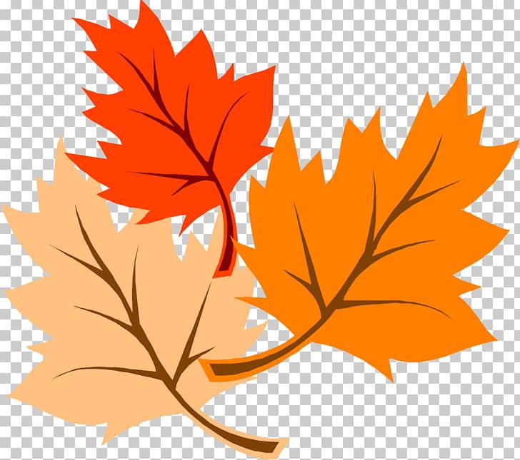 Thanksgiving Leaves PNG, Clipart, Holidays, Thanksgiving Free PNG Download