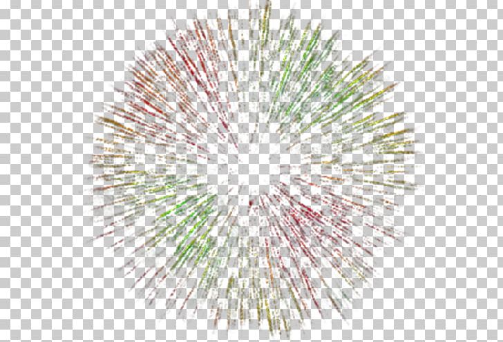 Fireworks Animation PNG, Clipart, Adobe Fireworks, Animation, Circle, Color, Colorful Free PNG Download