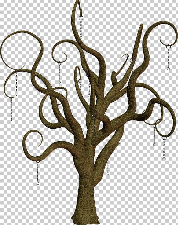 Plant Stem Shrub Web Page PNG, Clipart, 222, Branch, Clip Art, Flora, Flower Free PNG Download