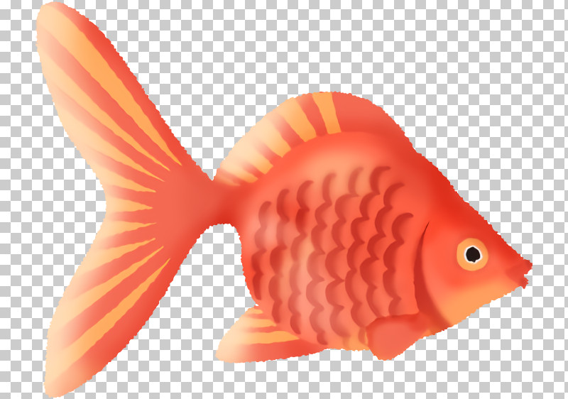 Fish Fish Fin Goldfish Fish Products PNG, Clipart, Animal Figure, Bonyfish, Butterflyfish, Coral Reef Fish, Fin Free PNG Download