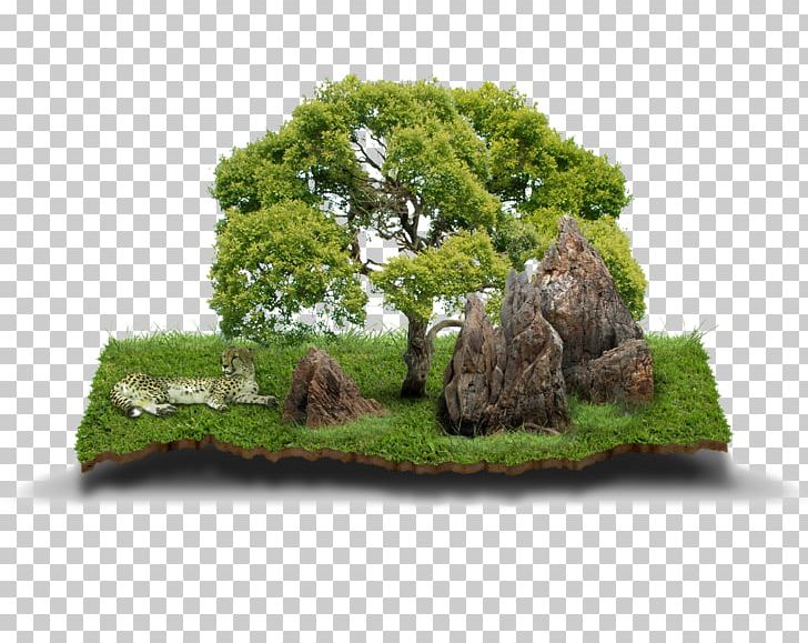 Agricultural Land Agriculture House Land Lot PNG, Clipart, Biome, Bonsai, Bonsai Vector, Business, Company Free PNG Download