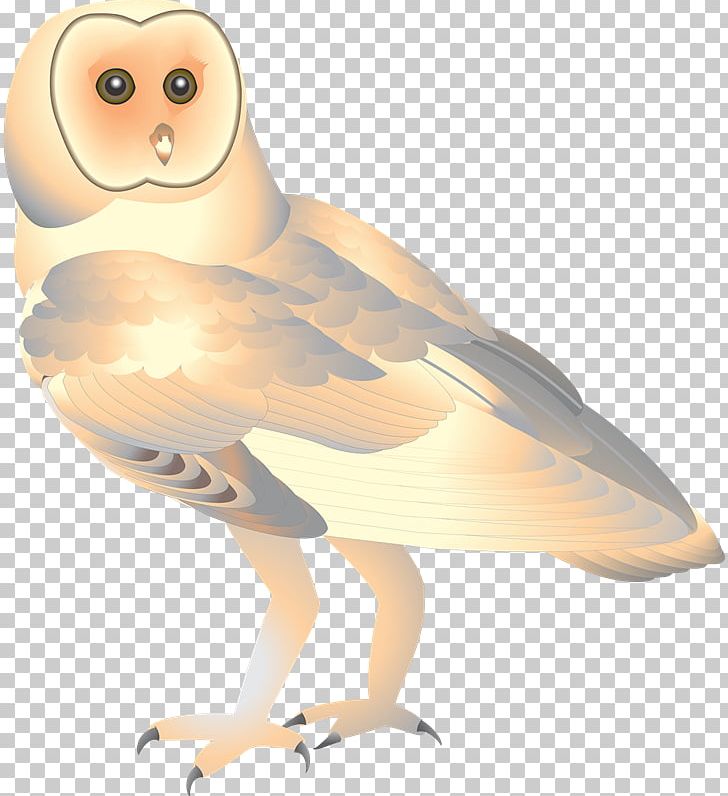 Owl Beak Bird Of Prey Feather PNG, Clipart, Beak, Bird, Bird Of Prey, Eating, Feather Free PNG Download