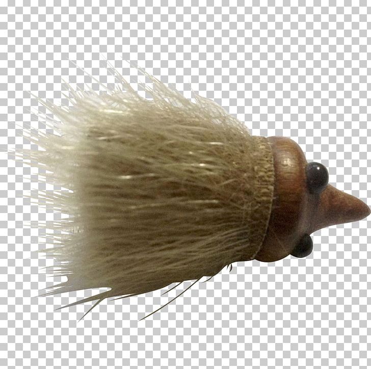 Shave Brush Echidna Shaving PNG, Clipart, Brush, Echidna, Monotreme, Others, Shave Brush Free PNG Download