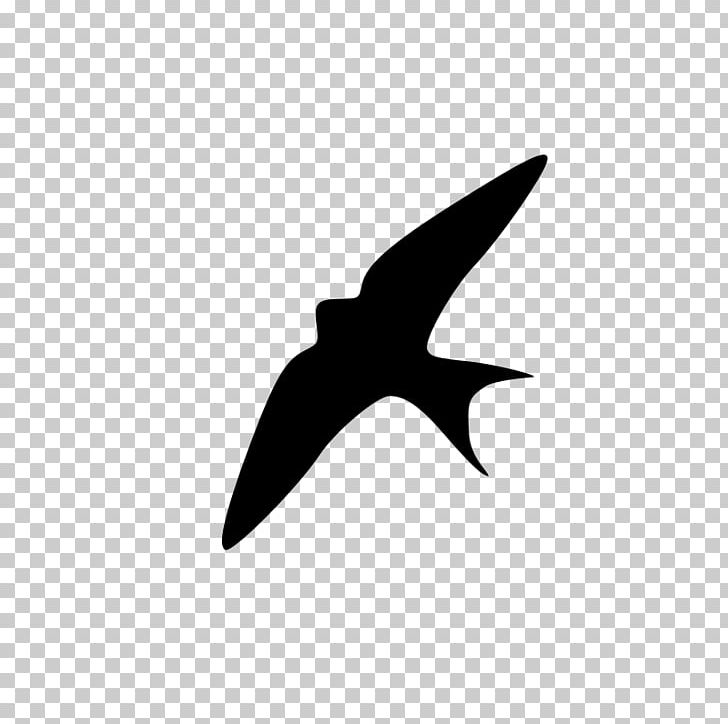 Swallow Bird PNG, Clipart, Animals, Barn Swallow, Bird, Bird Flight, Black Free PNG Download