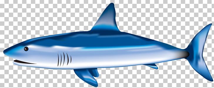 Tiger Shark Great White Shark Blue Shark Shark Fin Soup PNG, Clipart, Animals, Animated, Animated Gif, Blue Shark, Carcharhiniformes Free PNG Download