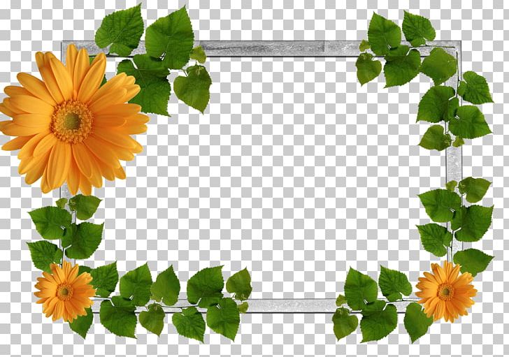 Frames Display Resolution File Formats PNG, Clipart, Annual Plant, Border Frames, Cut Flowers, Desktop Wallpaper, Display Resolution Free PNG Download