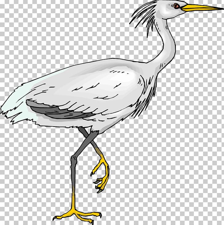 Green Heron Bird Egret PNG, Clipart, Beak, Bird, Cattle Egret, Clipart, Clip Art Free PNG Download